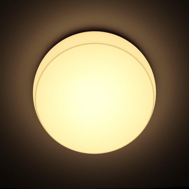 Glow Dome in White Gold